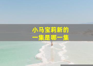 小马宝莉新的一集是哪一集