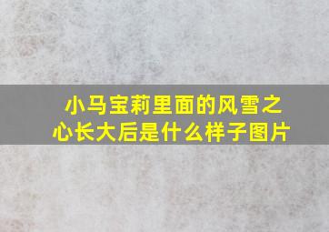 小马宝莉里面的风雪之心长大后是什么样子图片