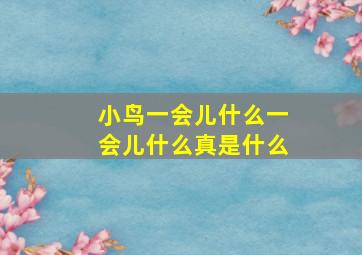 小鸟一会儿什么一会儿什么真是什么