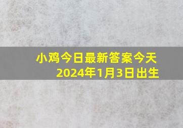 小鸡今日最新答案今天2024年1月3日出生