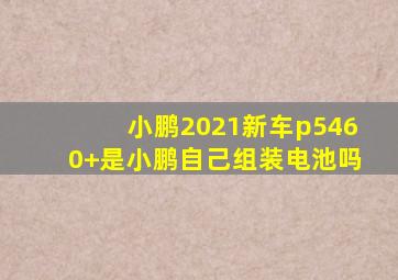 小鹏2021新车p5460+是小鹏自己组装电池吗