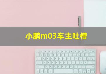 小鹏m03车主吐槽