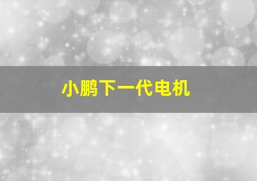 小鹏下一代电机