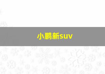 小鹏新suv