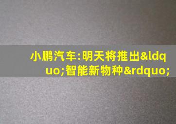 小鹏汽车:明天将推出“智能新物种”