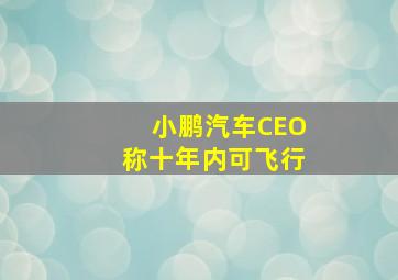 小鹏汽车CEO称十年内可飞行