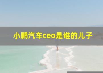 小鹏汽车ceo是谁的儿子