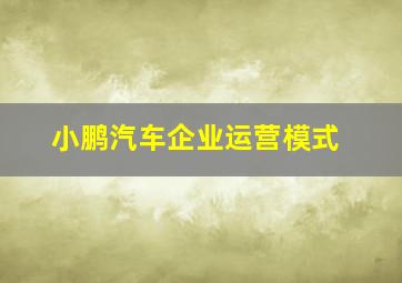 小鹏汽车企业运营模式