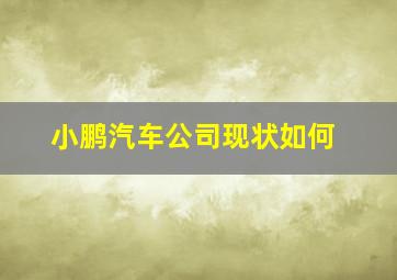 小鹏汽车公司现状如何