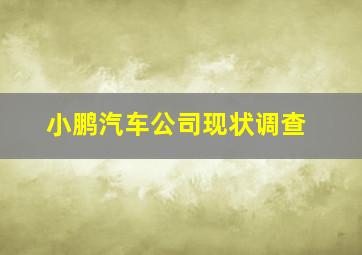 小鹏汽车公司现状调查