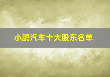 小鹏汽车十大股东名单