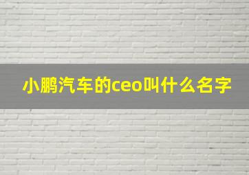 小鹏汽车的ceo叫什么名字