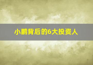 小鹏背后的6大投资人