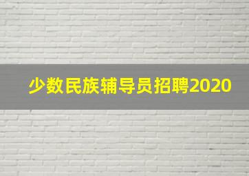 少数民族辅导员招聘2020