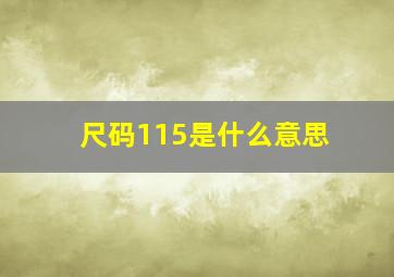 尺码115是什么意思