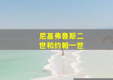 尼基弗鲁斯二世和约翰一世