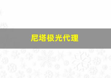 尼塔极光代理