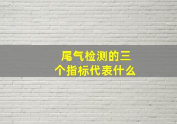 尾气检测的三个指标代表什么