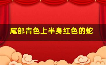 尾部青色上半身红色的蛇