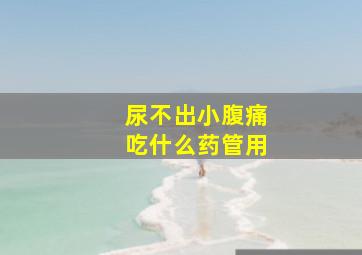 尿不出小腹痛吃什么药管用