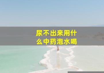 尿不出来用什么中药泡水喝