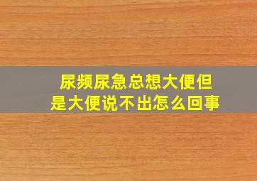 尿频尿急总想大便但是大便说不出怎么回事