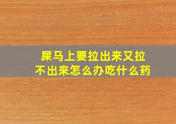 屎马上要拉出来又拉不出来怎么办吃什么药