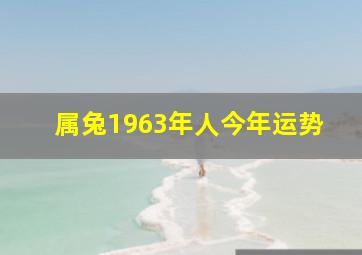 属兔1963年人今年运势