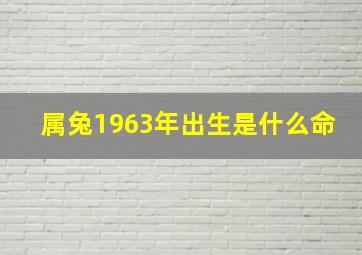 属兔1963年出生是什么命