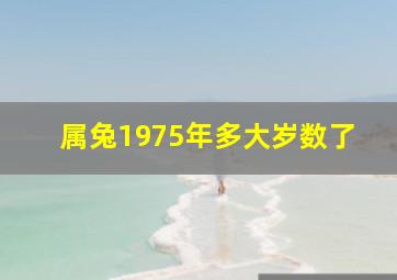 属兔1975年多大岁数了