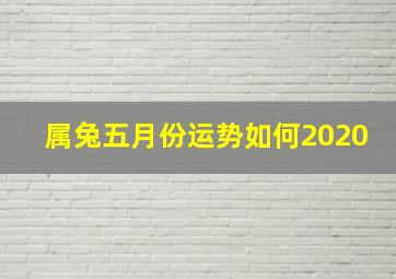 属兔五月份运势如何2020