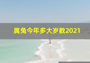 属兔今年多大岁数2021