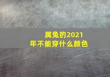 属兔的2021年不能穿什么颜色