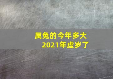 属兔的今年多大2021年虚岁了