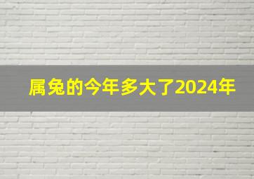 属兔的今年多大了2024年