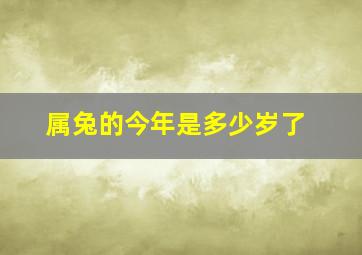 属兔的今年是多少岁了