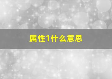 属性1什么意思