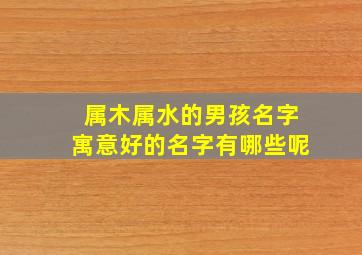 属木属水的男孩名字寓意好的名字有哪些呢