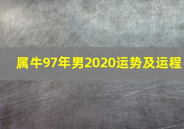 属牛97年男2020运势及运程