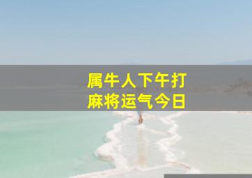 属牛人下午打麻将运气今日