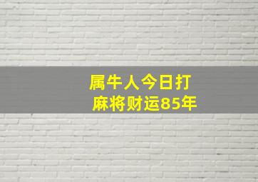 属牛人今日打麻将财运85年