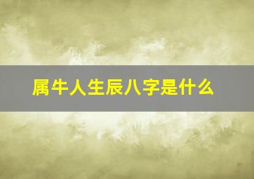 属牛人生辰八字是什么