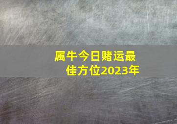 属牛今日赌运最佳方位2023年