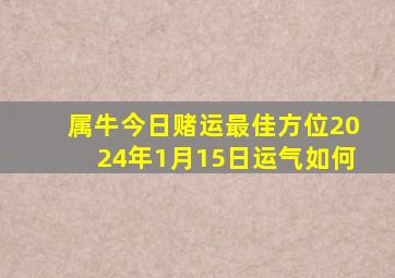 属牛今日赌运最佳方位2024年1月15日运气如何