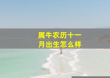 属牛农历十一月出生怎么样