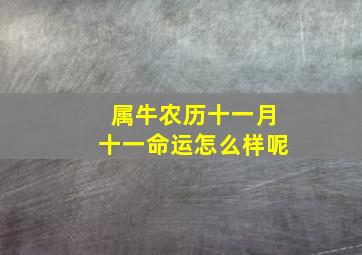 属牛农历十一月十一命运怎么样呢