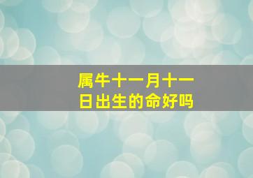 属牛十一月十一日出生的命好吗