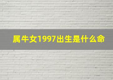 属牛女1997出生是什么命