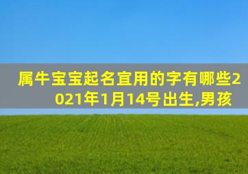 属牛宝宝起名宜用的字有哪些2021年1月14号出生,男孩