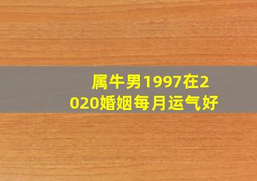 属牛男1997在2020婚姻每月运气好